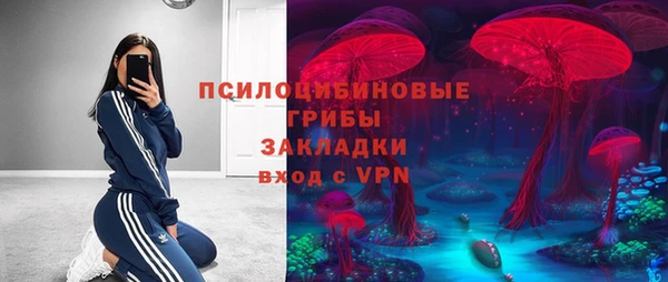 прущие крисы Абинск